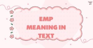 EMP Meaning in Text