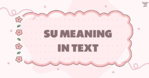 SU Meaning in Text
