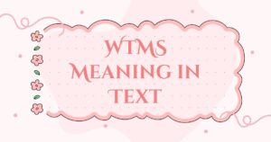 WTMS Meaning in Text