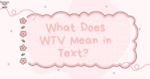 What Does WTV Mean in Text The Real 2025 Meaning Explained 💬