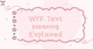 WYF Text Meaning Explained — The Updated 2025 Version 😎